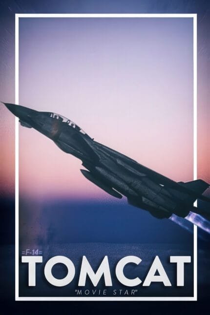 F-14 Tomcat