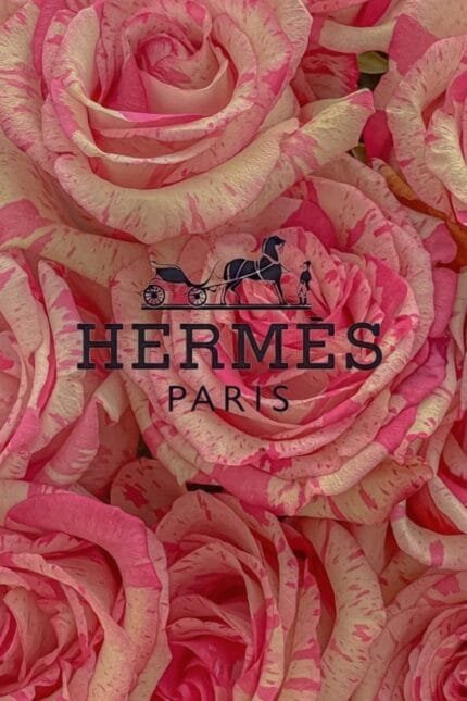 Hermes Paris