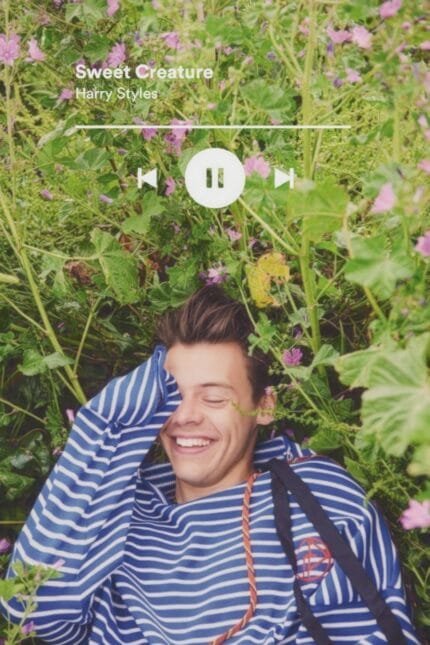Harry Styles – “Sweet Creature”