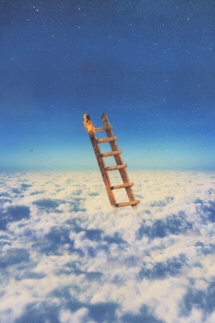 Highest In The Room
