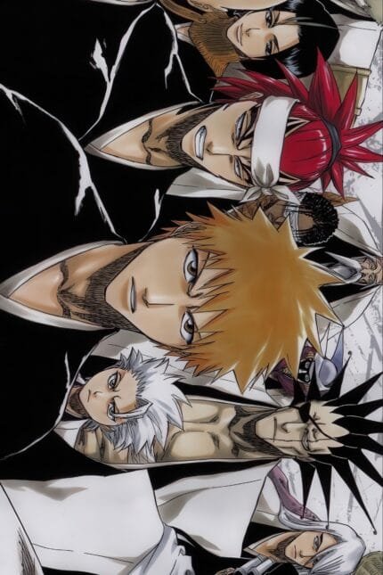 Bleach (Ichigo Kurosaki, Renji, Toshiro, Kenpachi)