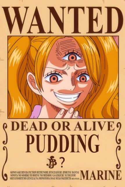 Pudding Wanted