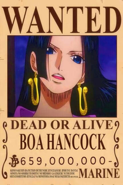 Boa Hancock Wanted
