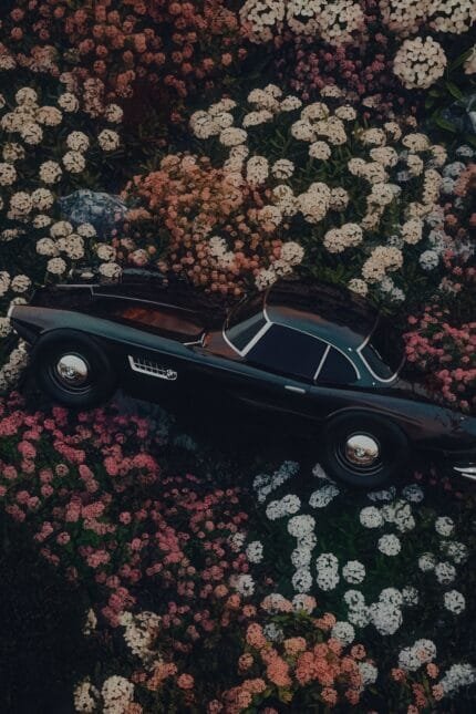 Jaguar XK120
