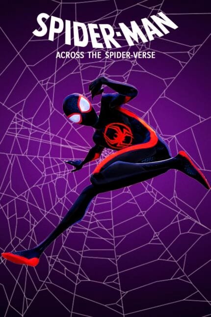 Spider-Man Across the Spider-Verse